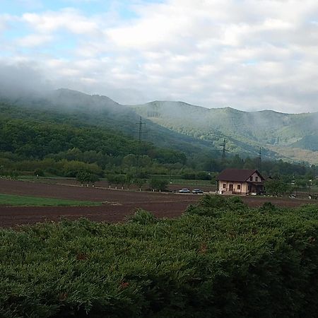 Vila Gosen Sard 외부 사진